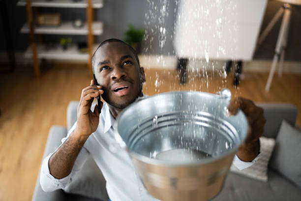 Best Professional water damage repair  in China Spring, TX