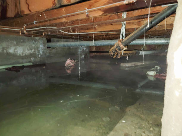  China Spring, TX Water damage restoration Pros