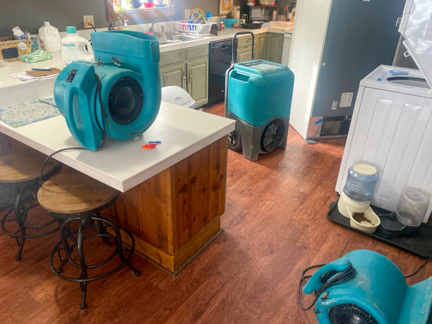 Best Local water damage restoration  in China Spring, TX