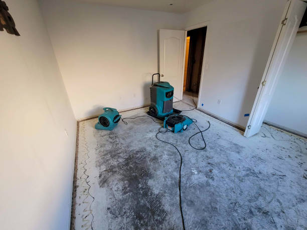 Carpet water damage restoration in China Spring, TX