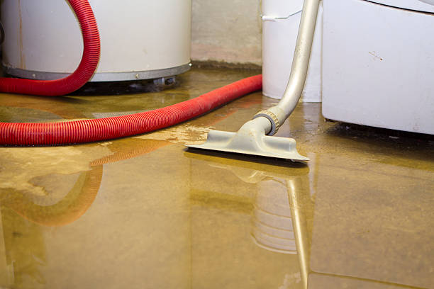 Best Carpet water damage restoration  in China Spring, TX