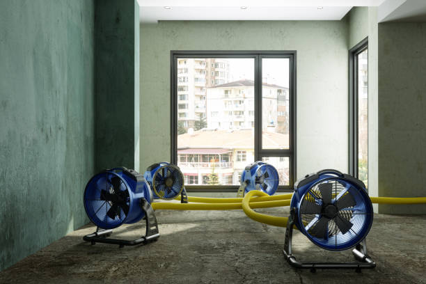 Best Fire Damage Restoration  in China Spring, TX